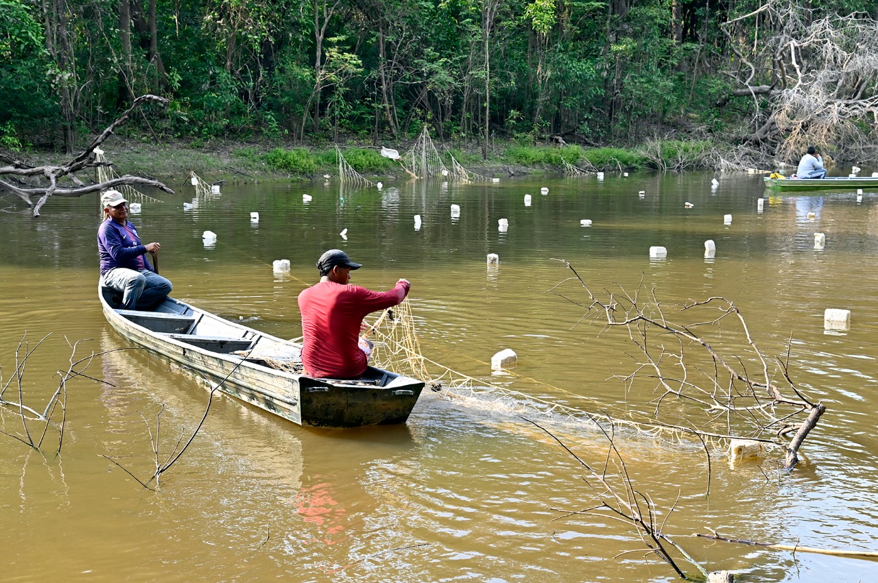 How a giant fish protects indigenous lands in the Amazon | FairPlanet