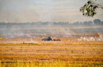 david-maunsell-V4AxhRS9ugk-unsplash david-maunsell-V4AxhRS9ugk-unsplash