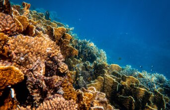 francesco-ungaro-hEB3n_fIXq4-unsplash francesco-ungaro-hEB3n_fIXq4-unsplash