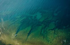 harris-vo-ZYC2aKg_W4U-unsplash