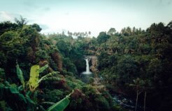 nate-johnston-BW9bM5UoLk4-unsplash nate-johnston-BW9bM5UoLk4-unsplash