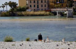 3.-Man-with-Roya 3.-Man-with-Roya