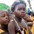 amevi-wisdom-wiUl_NyafcY-unsplash