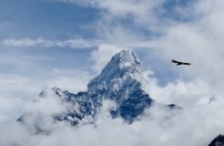 ben-lowe-sqdY_rJg8wg-unsplash