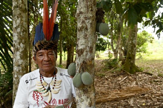 Cacau dos SAFs da aldeia Novo Paraíso, TI Caititu_Adriano Gambarini