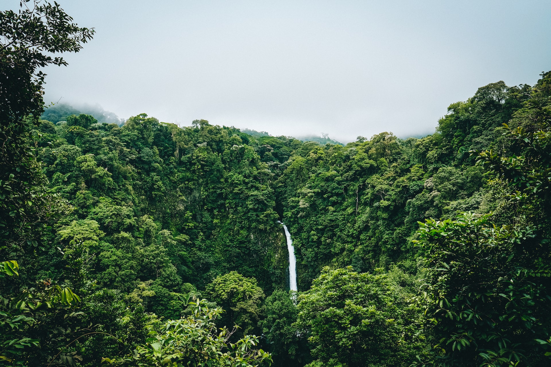 fabio-fistarol-adLo80F_9P0-unsplash