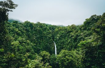 fabio-fistarol-adLo80F_9P0-unsplash fabio-fistarol-adLo80F_9P0-unsplash