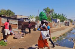 farah-nabil-aodAT7yySVE-unsplash farah-nabil-aodAT7yySVE-unsplash