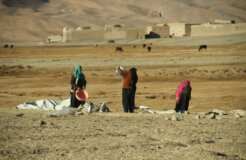 farid-ershad-bUm5zws3vzQ-unsplash