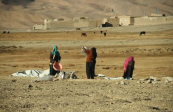 farid-ershad-bUm5zws3vzQ-unsplash