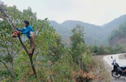 IMG-63f368392311b8a6c774be623e472619-V