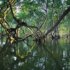 timothy-k-1CiE1x4dHIY-unsplash