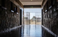 grant-durr-pI3kDdtHkjY-unsplash grant-durr-pI3kDdtHkjY-unsplash