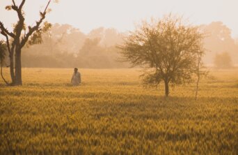 huzaifa-waheed-cWr9DucW88o-unsplash