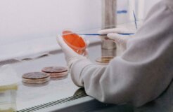 trnava-university-Lr_MKzNGhUU-unsplash