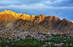 darshan-chudasama-v1oGBUnXVDs-unsplash darshan-chudasama-v1oGBUnXVDs-unsplash