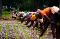 deepak-kumar-b4eRRodrirQ-unsplash