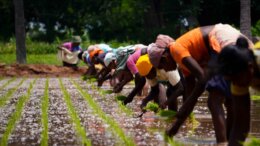 deepak-kumar-b4eRRodrirQ-unsplash