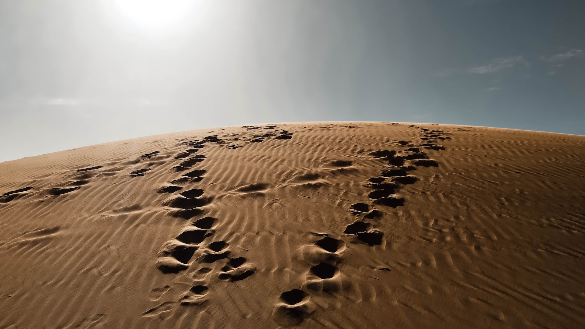Divergent footprints