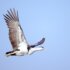 simerpreet-cheema-y63BNihVvGo-unsplash
