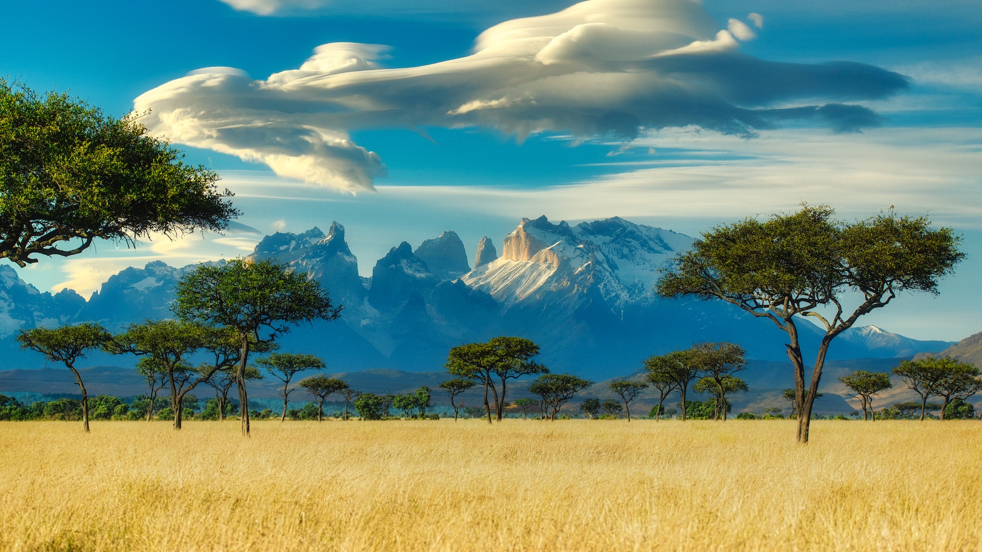 Africa landscape