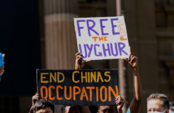 51949265576_ee976b7d7e_k 51949265576_ee976b7d7e_k