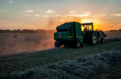 jed-owen-ajZibDGpPew-unsplash