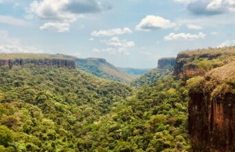 joao-tzanno-VLMs1k-kGS4-unsplash joao-tzanno-VLMs1k-kGS4-unsplash