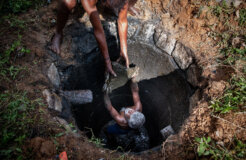 49108335546_5388b0604a_c 49108335546_5388b0604a_c