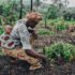 annie-spratt-GaLzDCnA5EI-unsplash