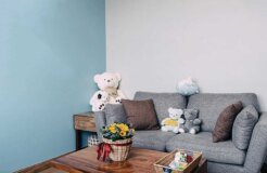 Child-Interview-and-Counseling-Room Child-Interview-and-Counseling-Room