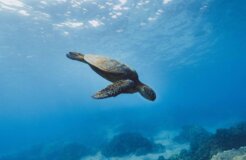 Credit_-Jakob-Owens Credit_-Jakob-Owens