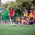 football-g26d3d2daa_1280