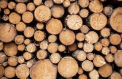 justus-menke-fltWcgh69-8-unsplash justus-menke-fltWcgh69-8-unsplash