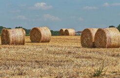 pascal-bernardon-IqU2FCSwtos-unsplash