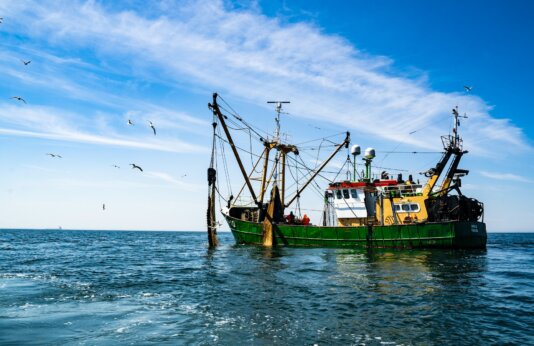 paul-einerhand-eysa6RORvl0-unsplash paul-einerhand-eysa6RORvl0-unsplash