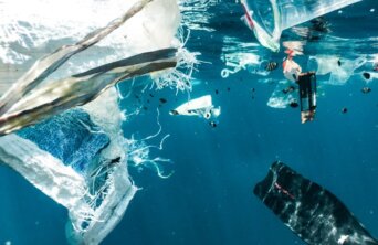 naja-bertolt-jensen-FxnqdmKBJps-unsplash Medium 2 naja-bertolt-jensen-FxnqdmKBJps-unsplash Medium 2