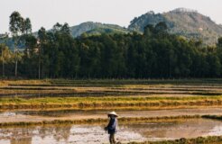 pete-walls-qfX0ViCANEE-unsplash Medium