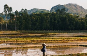 pete-walls-qfX0ViCANEE-unsplash Medium