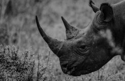 photos-by-beks-lqVe6NdK8bQ-unsplash