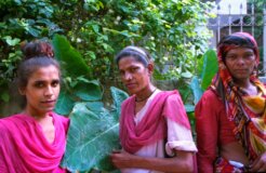 2233987158_40ab3eb07b_o 2233987158_40ab3eb07b_o