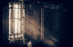 denny-muller-uWYedErgXgU-unsplash