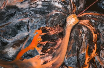 ivan-bandura-Cdr1ryVJyQA-unsplash ivan-bandura-Cdr1ryVJyQA-unsplash