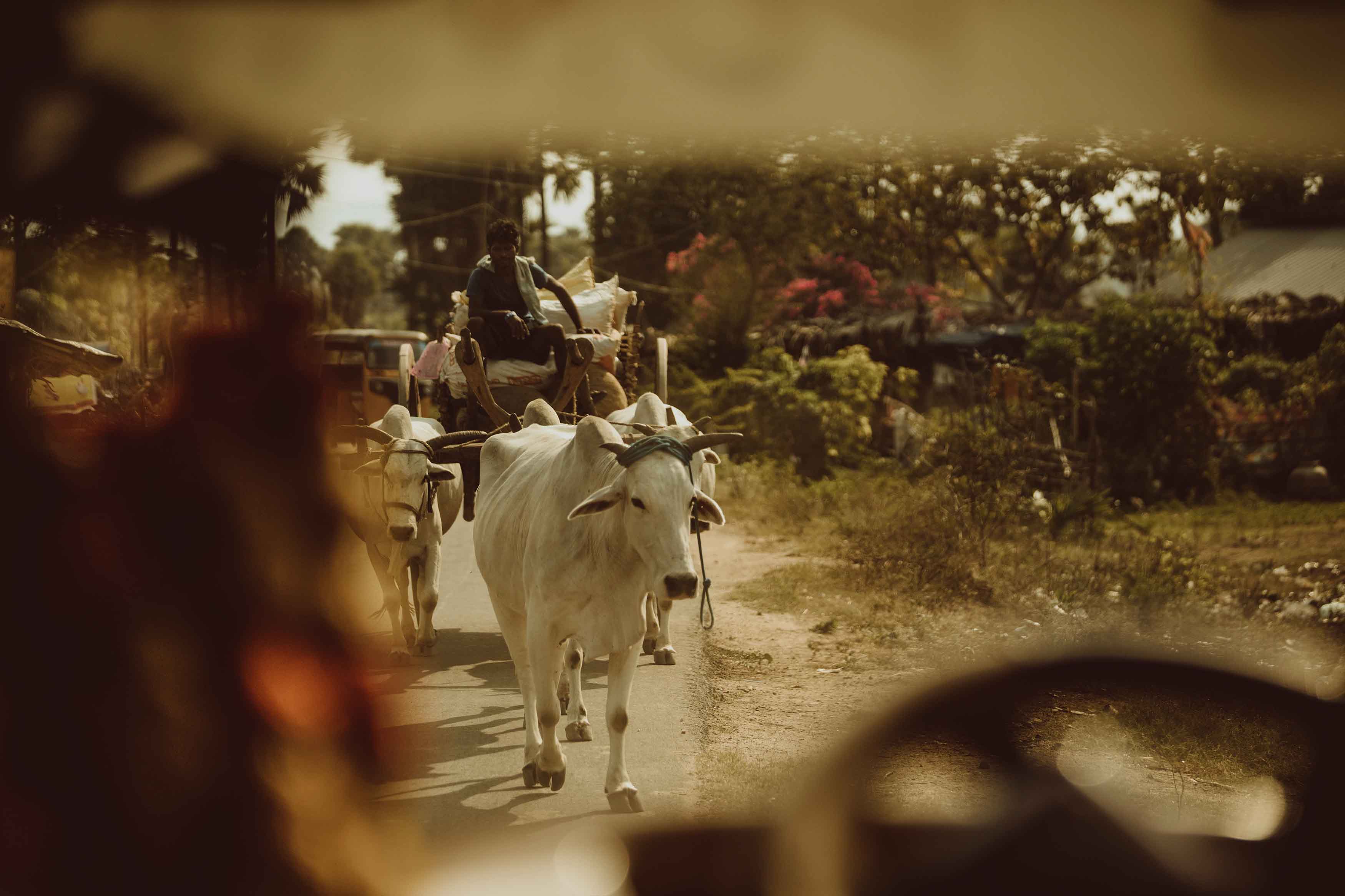 taylor-brandon-rm8qzG2Dbcc-unsplash