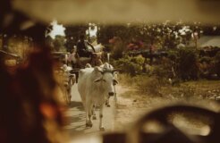 taylor-brandon-rm8qzG2Dbcc-unsplash taylor-brandon-rm8qzG2Dbcc-unsplash