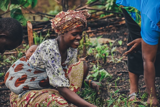 annie-spratt-m0DUL38R49Y-unsplash Medium