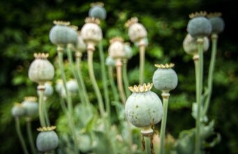 tim-cooper-FolqiosWgdM-unsplash Medium tim-cooper-FolqiosWgdM-unsplash Medium