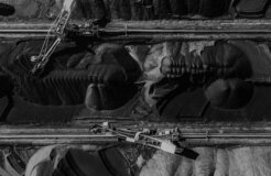 curioso-photography-CBUaptfxvKY-unsplash curioso-photography-CBUaptfxvKY-unsplash