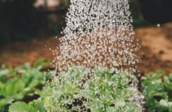 markus-spiske-sFydXGrt5OA-unsplash Medium