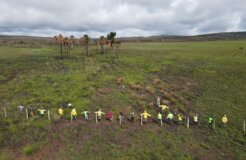 WhatsApp Image 2022-11-27 at 13.37.26 (2)